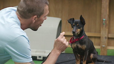 Lucky Dog Season 6 Episode 26