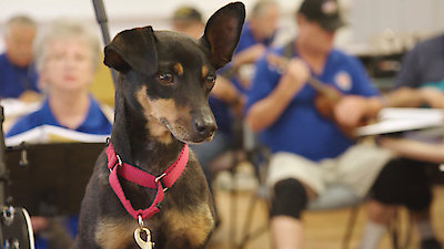 Lucky Dog Season 7 Episode 12