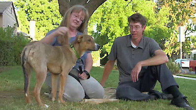 Lucky Dog Season 1 Episode 6