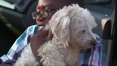 Lucky Dog Season 1 Episode 7