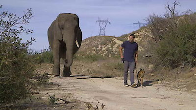 Lucky Dog Season 1 Episode 14