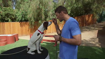 Lucky Dog Season 2 Episode 2