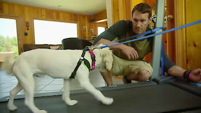Lucky Dog Season 2 Episode 5