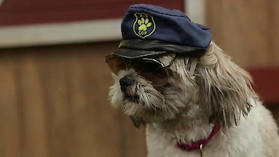Lucky Dog Season 2 Episode 10