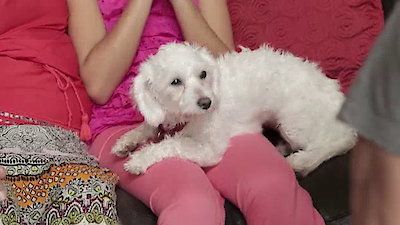 Lucky Dog Season 2 Episode 23