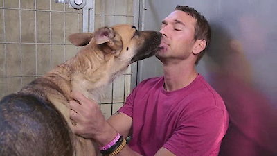 Lucky Dog Season 2 Episode 25