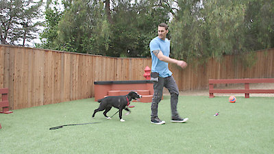 Lucky Dog Season 3 Episode 2