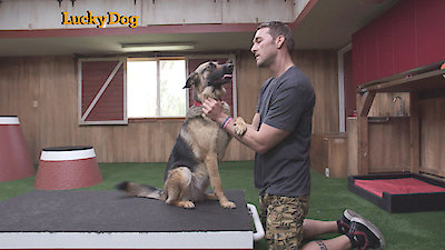 Lucky Dog Season 3 Episode 6