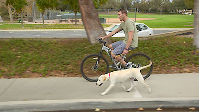 Lucky Dog Season 3 Episode 9