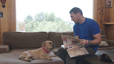 Lucky Dog Season 3 Episode 10