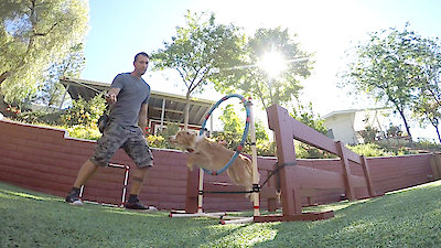 Lucky Dog Season 3 Episode 12