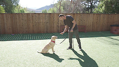 Lucky Dog Season 3 Episode 16