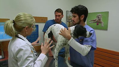 Lucky Dog Season 1 Episode 24