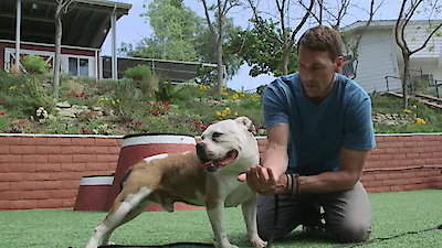Lucky Dog Season 1 Episode 23