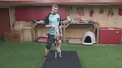 Lucky Dog Season 3 Episode 18