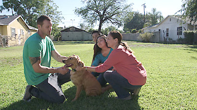 Lucky Dog Season 3 Episode 19