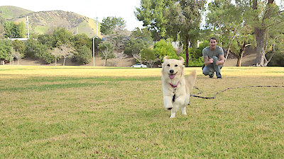 Lucky Dog Season 3 Episode 20