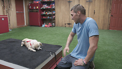 Lucky Dog Season 3 Episode 23