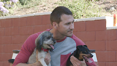 Lucky Dog Season 3 Episode 25