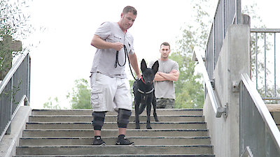 Lucky Dog Season 3 Episode 26