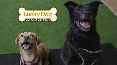 Lucky Dog Season 4 Episode 16