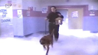 Parker Lewis Can't Lose Season 1 Episode 11