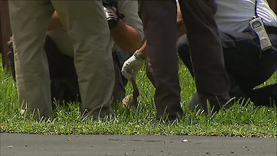 Animal Cops: Miami Season 2 Episode 1