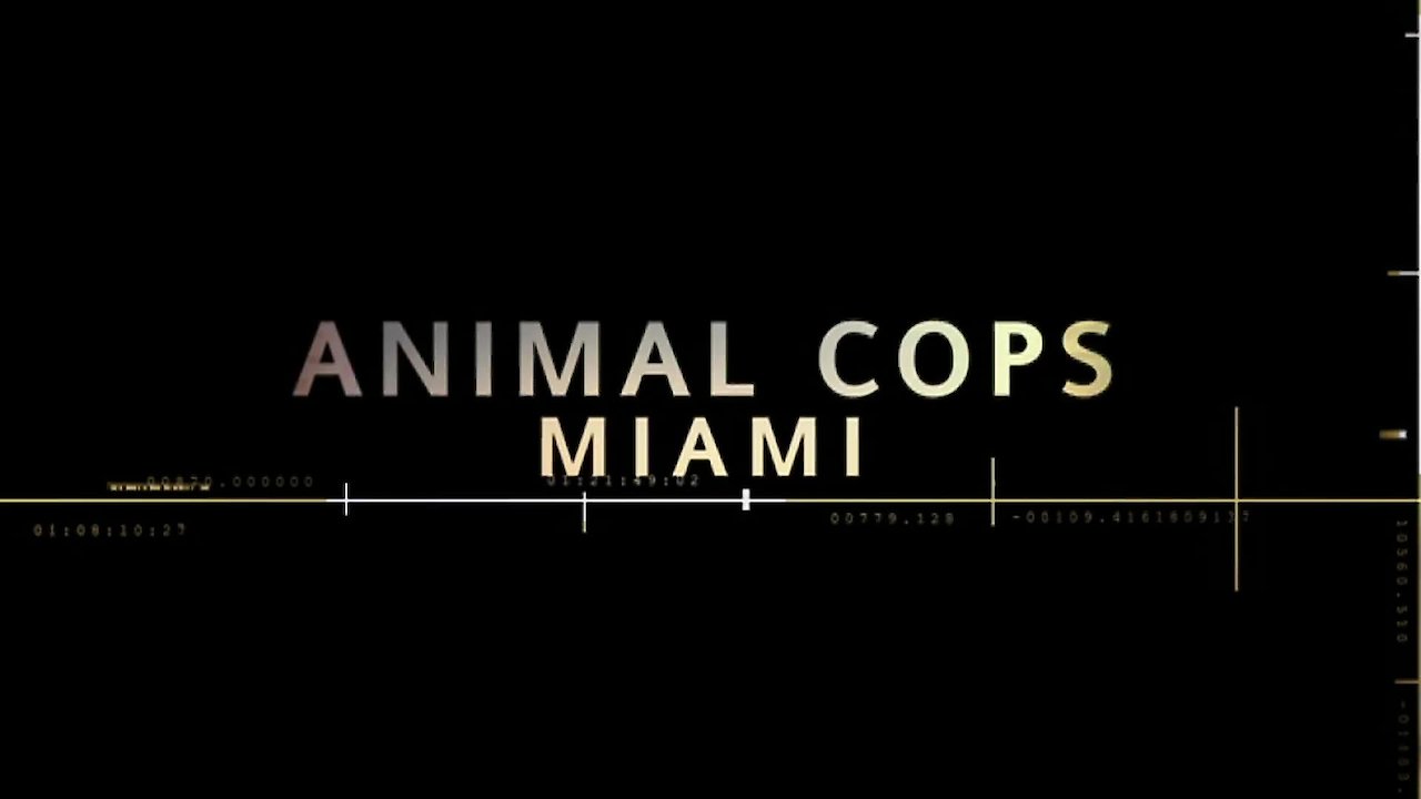 Animal Cops: Miami