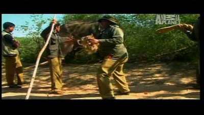 Wild Recon Season 1 Episode 2