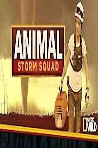 Animal Storm Squad