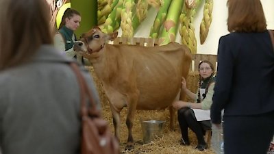 Trollied Season 5 Episode 4