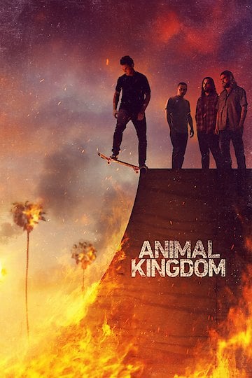 Watch Animal Kingdom Online - Full Episodes - All Seasons - Yidio