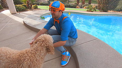 Blippi Season 1 Episode 19