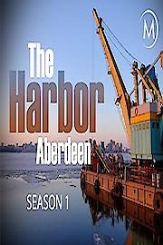 The Harbor
