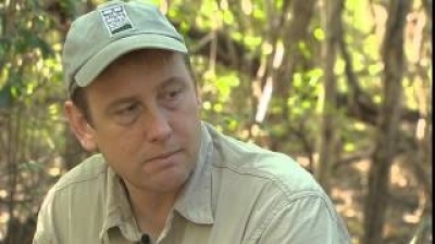 Counting on Birds: Tales of Migration Season 1 Episode 3