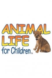 Animal Life for Children