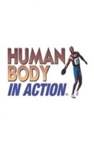 Human Body in Action