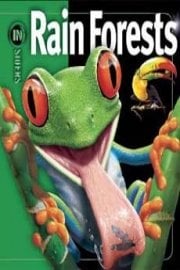 Rainforest for Children