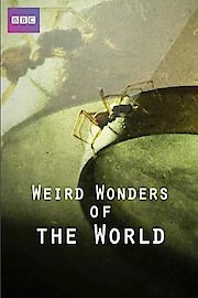 Weird Wonders