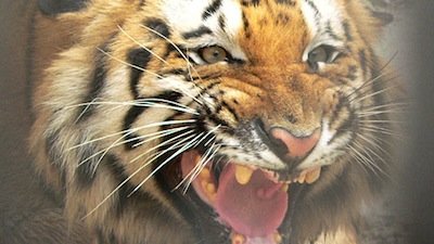 Hunter and Hunted Season 1 Episode 3