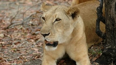 Hunter and Hunted Season 1 Episode 7