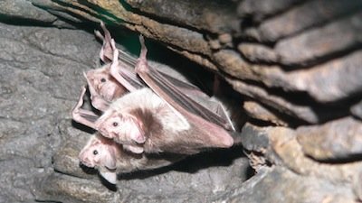 Hunter and Hunted Season 1 Episode 8