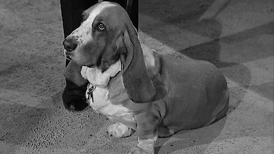 Petticoat Junction Season 1 Episode 32