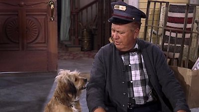 Petticoat Junction Season 3 Episode 13