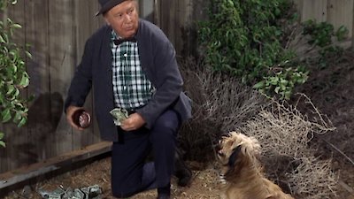 Petticoat Junction Season 3 Episode 26