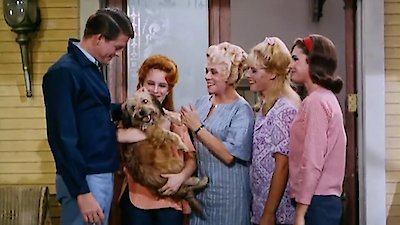 Petticoat Junction Season 4 Episode 16