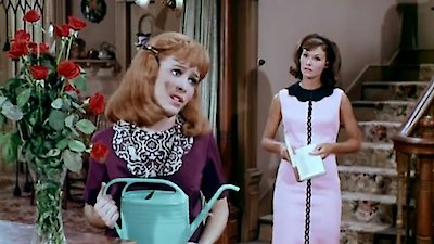 Petticoat Junction Season 5 Episode 3