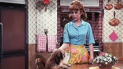 Petticoat Junction Season 6 Episode 21