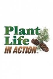 Plant Life in Action