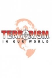 Terrorism In Our World